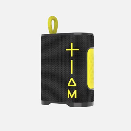 2 in 1 Soundbox Combo Earbuds