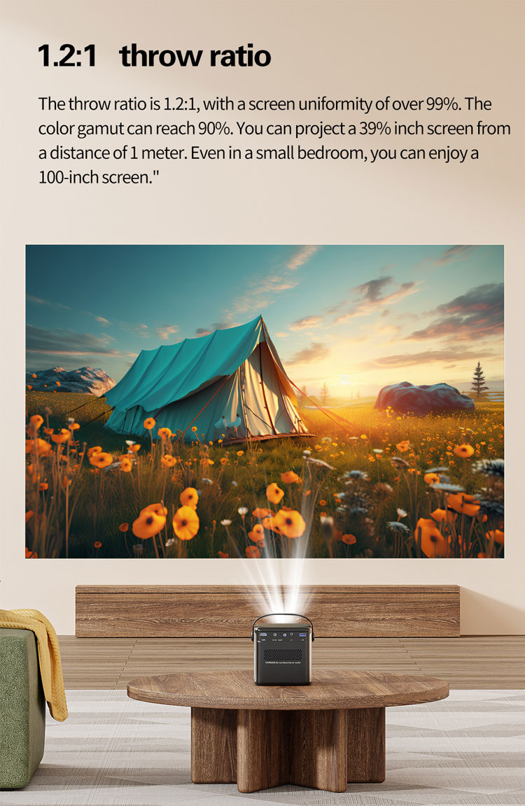 S8-Projector_05