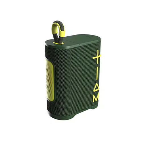 2 in 1 Soundbox Combo Earbuds