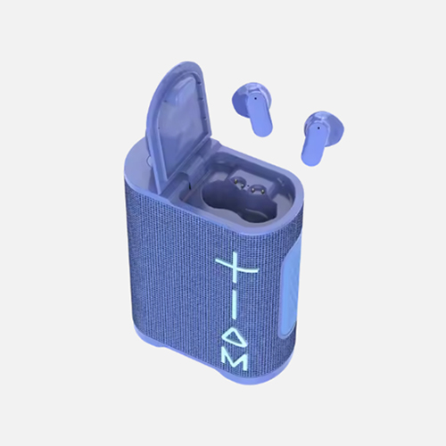 2 in 1 Soundbox Combo Earbuds